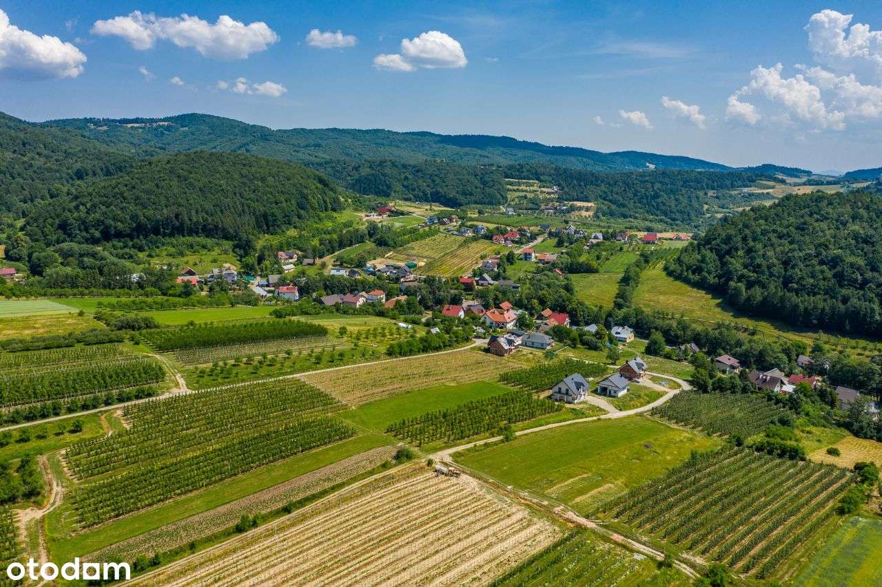 Działka widokowa Wola Kosnowa - Pełny obrazek: 5/9