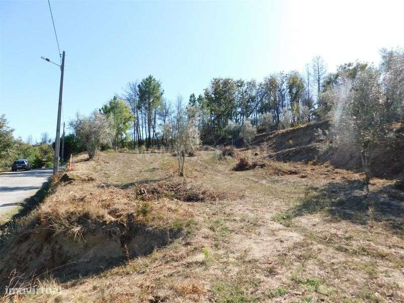 Terreno / Seia, Várzea de Meruge - Grande imagem: 1/10