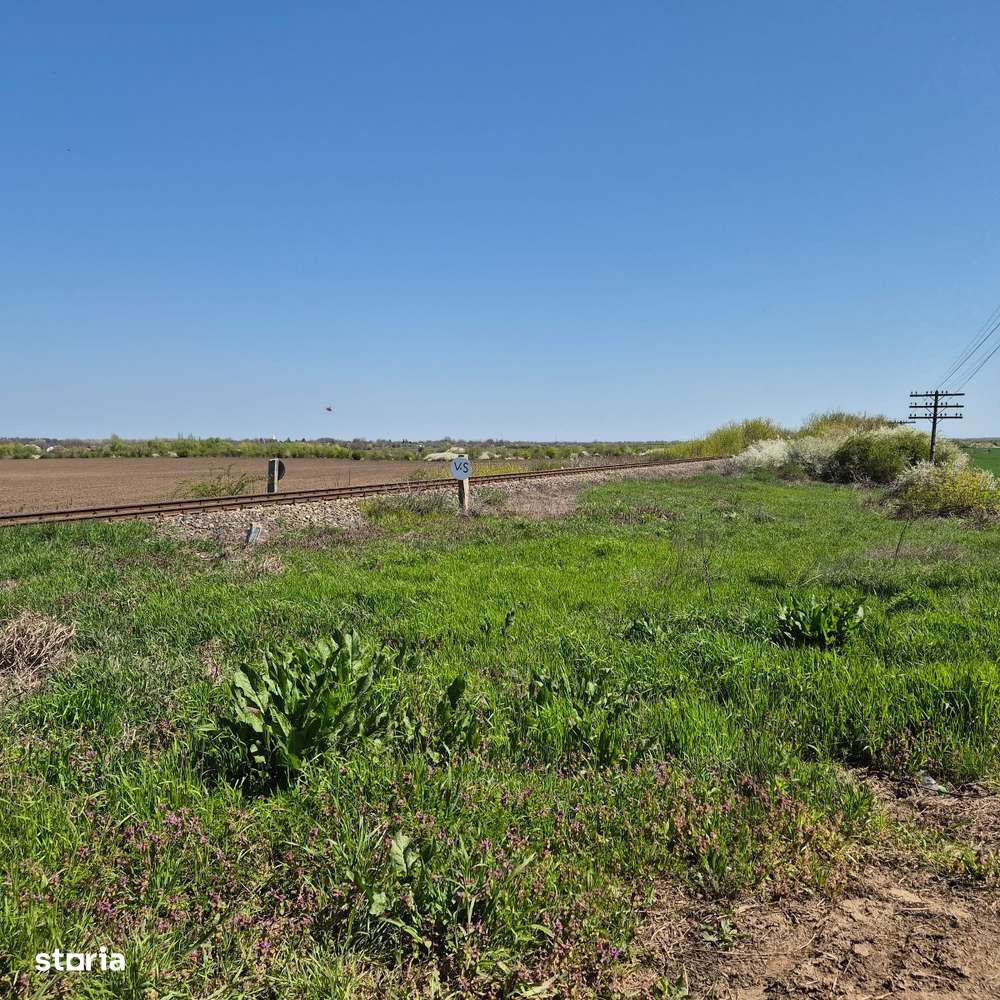 GRADISTEA - Sat Sitaru, teren agricol 11.961mp, ideal investitie-3