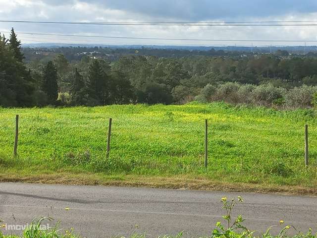 Terreno Rústico  com a possibilidade de rentabilizar.! - Grande imagem: 3/6