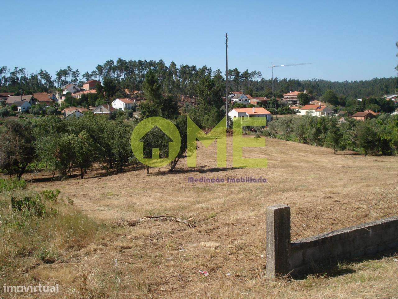 Terreno para construção, a 5 min de Caxarias - Grande imagem: 5/5