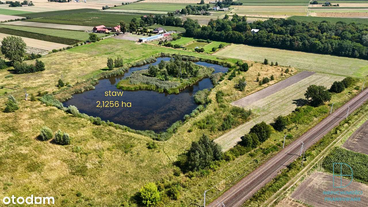 Działka inwestycyjna 7,4 ha ze stawem – przy DK92 i A1 - Pełny obrazek: 4/14