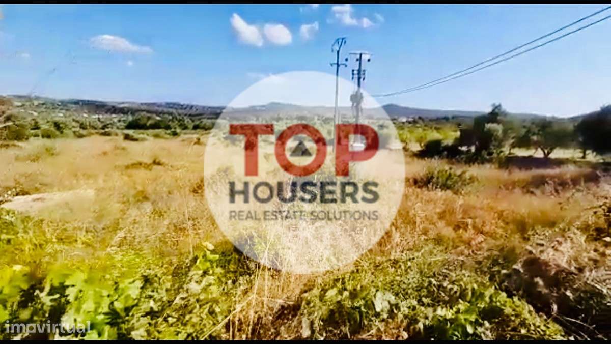 Terreno com Ruína e Projecto Aprovado - Loulé - Grande imagem: 5/6