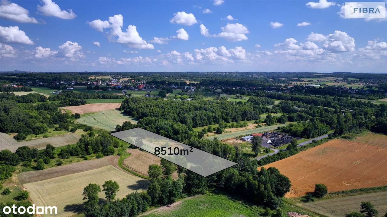 Nowa cena, teraz mniej o 90 tys. - Pełny obrazek: 3/14