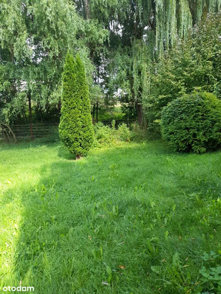 Działka 1 552 m², Jaźwina / Janczowice - Pełny obrazek: 5/17