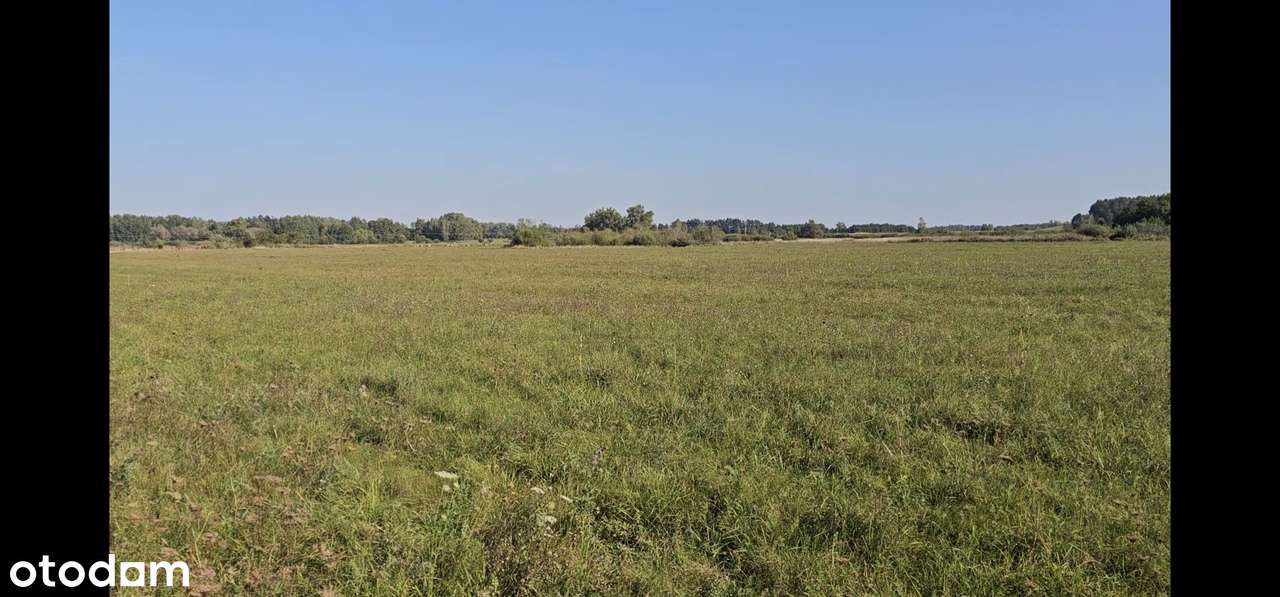 SWJM 31ha Tałty 187m linii brzegowej - Pełny obrazek: 5/13