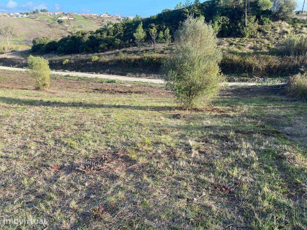 Terreno com 12.500 m2 com capacidade construtiva-3