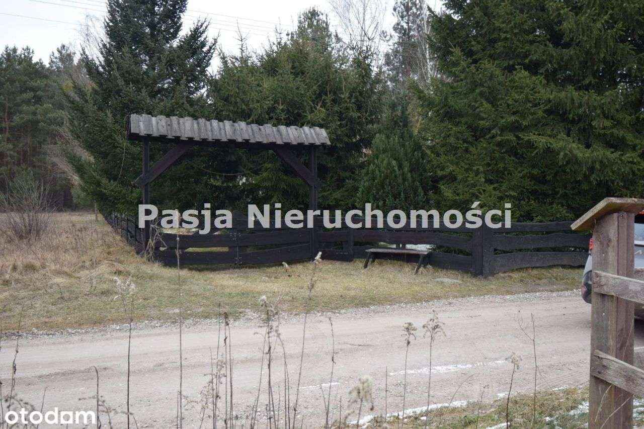 Siedlisko przy lesie-12