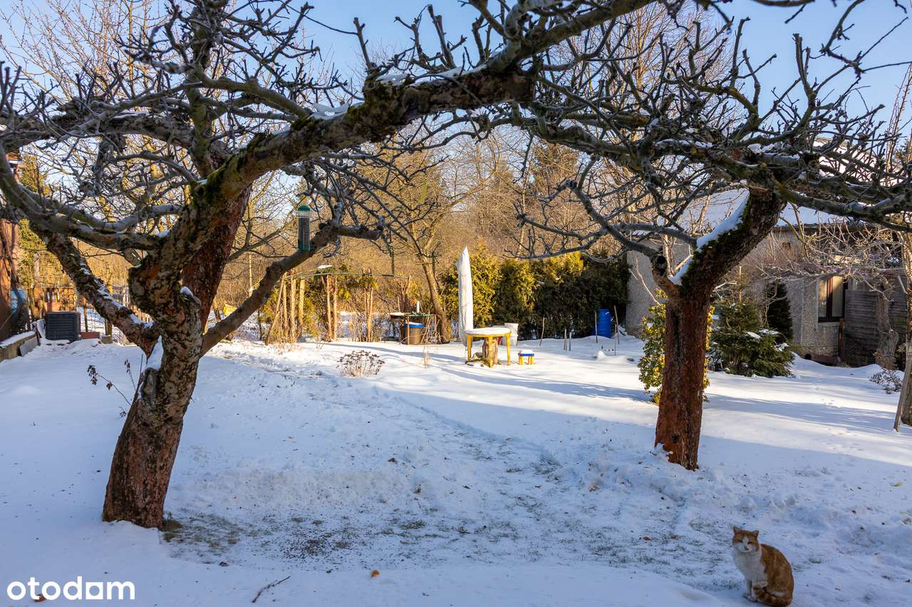 Dom z pięknym ogrodem | Atrakcyjna lokalizacja-10