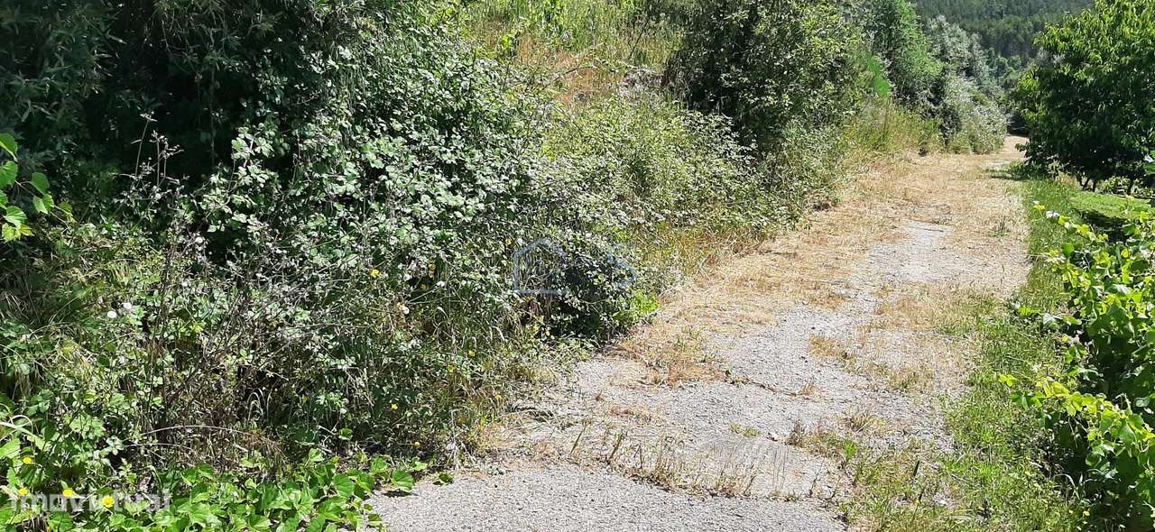 Terreno com Projeto Aprovado para Moradia em Besteiras – Águas Belas-18