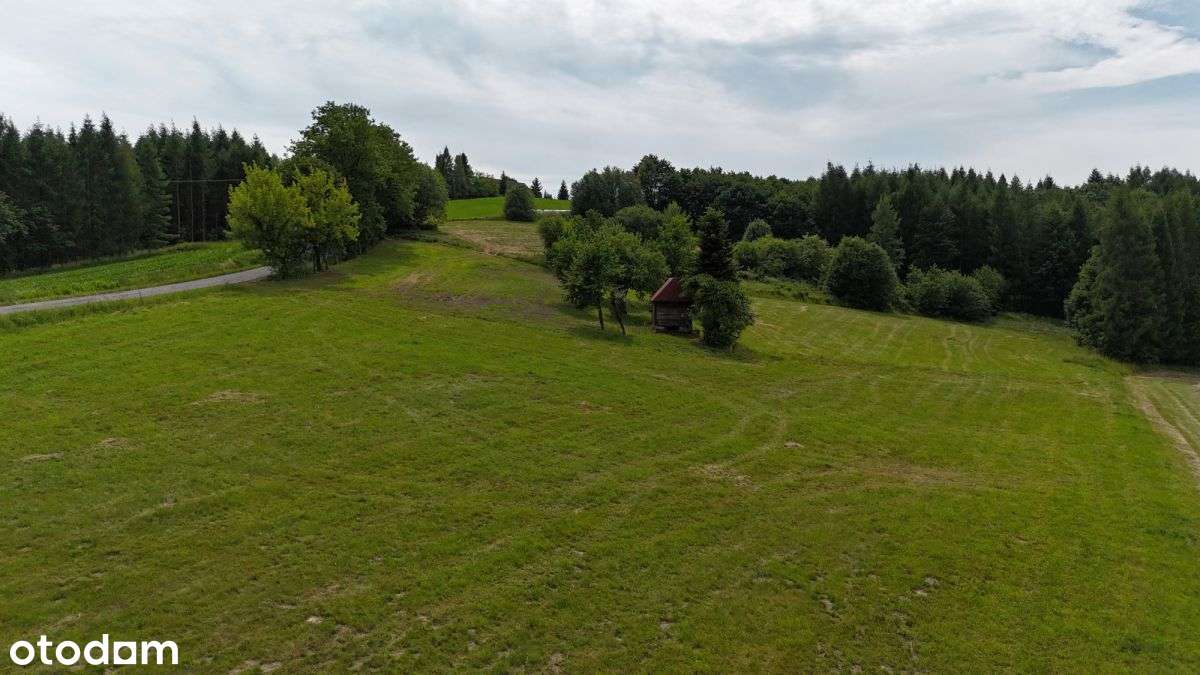 Działki budowlane na sprzedaż - różne rozmiary - Pełny obrazek: 4/5