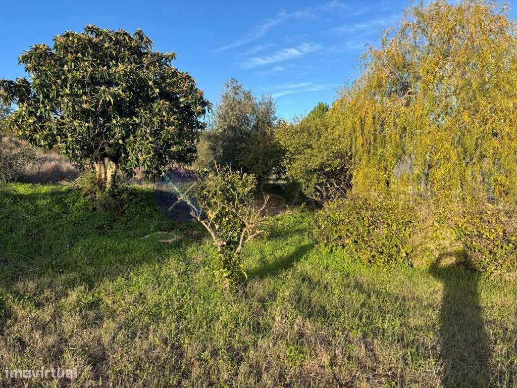 Monte Alentejano de 4 Hectares na região de Cabeção / Mora - Privac...-5