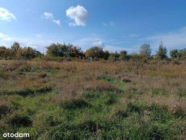 Działka, 18 800 m², Gniezno - Pełny obrazek: 5/5