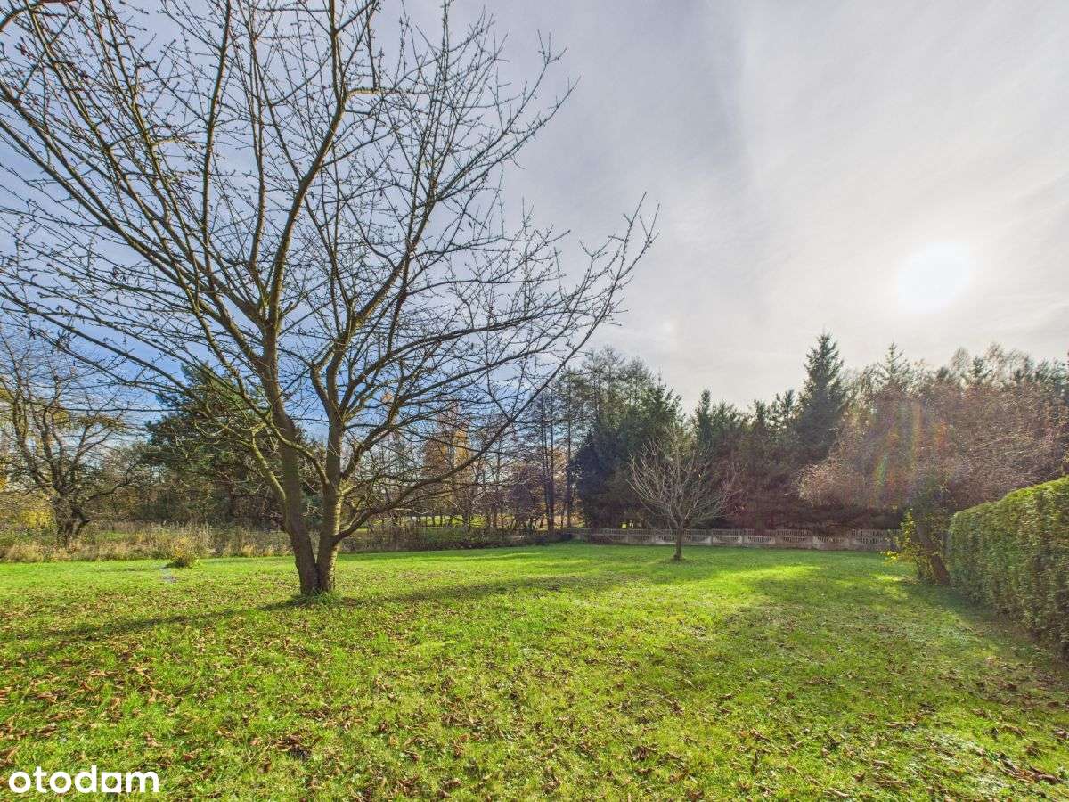 Działka idealna pod Dom! - Pełny obrazek: 5/7