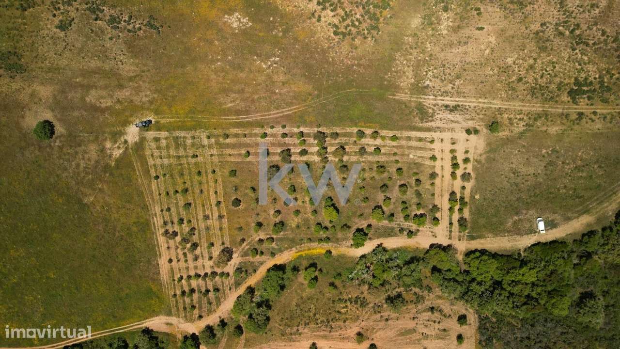 Terreno Rústico de 1hectare - Budens, Vila do Bispo - Grande imagem: 5/22