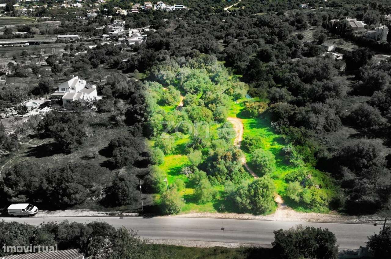 Terreno Rústico Bemposta - Grande imagem: 3/15