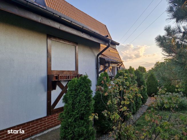 EXCLUSIV - Cafrom Imobiliare - SECIU-Vila de Vanzare-5