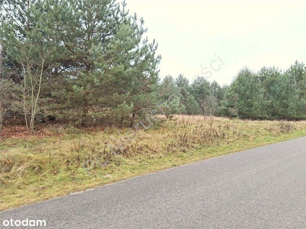 Działka budowlana - stacja Pkp tylko 1 km - Pełny obrazek: 4/13