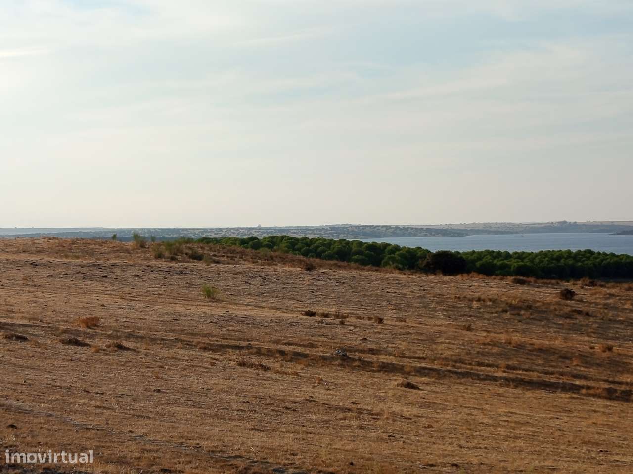 Terreno na Margem Alqueva-21