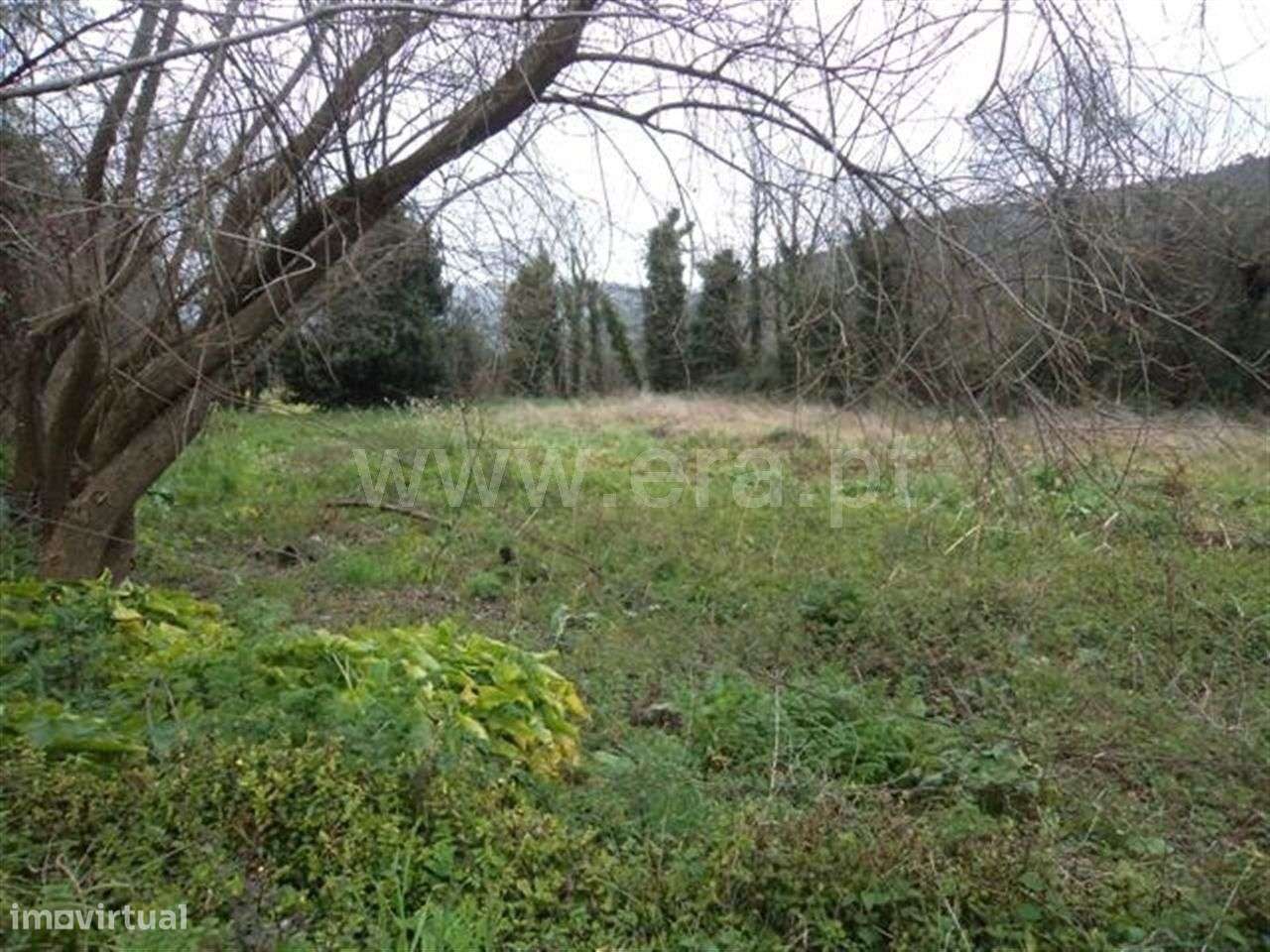 Terreno com 1.000 m2 em Fornelos - Grande imagem: 2/3