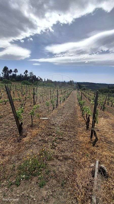 Terreno  para venda - Grande imagem: 4/14