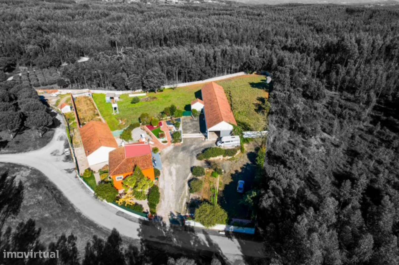 Quintinha com habitação, armazéns e terreno - Rio Maior-10