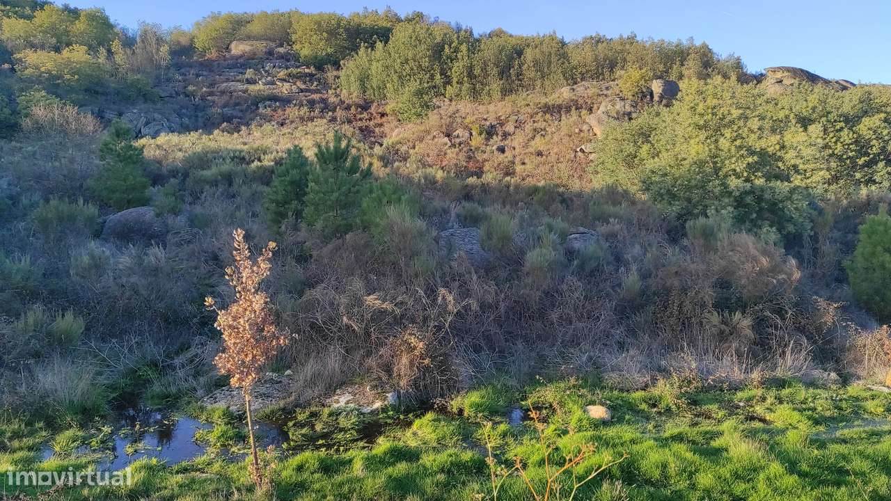Quinta com vista deslumbrante para a Serra da Estrela 17500€-14