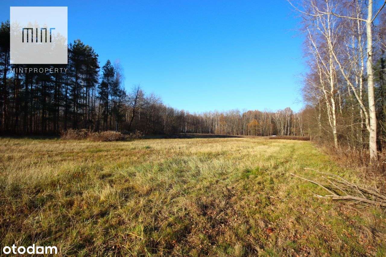 Działki budowlane na sprzedaż, Borek Wielki - Pełny obrazek: 4/4