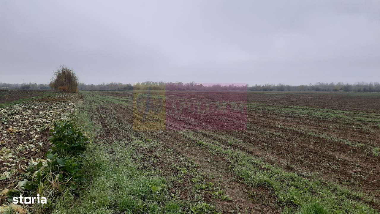 Teren Investiție aproape de București - Imagine principală: 5/12