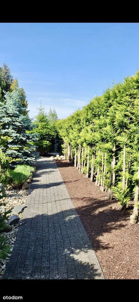 Sprzedam Dom w Boryszewie Nowym, Płock - Pełny obrazek: 4/20