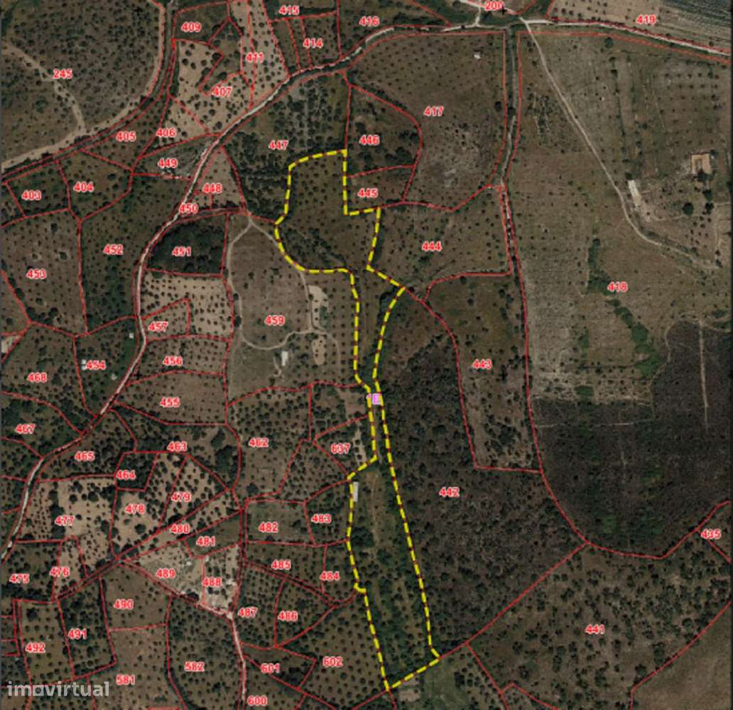 Casa em Ruína e 3 hectares terreno no Alto Alentejo em Nisa - Grande imagem: 3/9