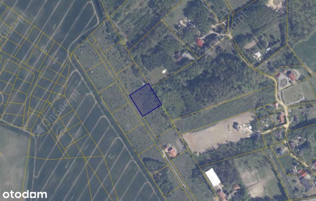 Działka 223/18 w miejscowości Warcz-1