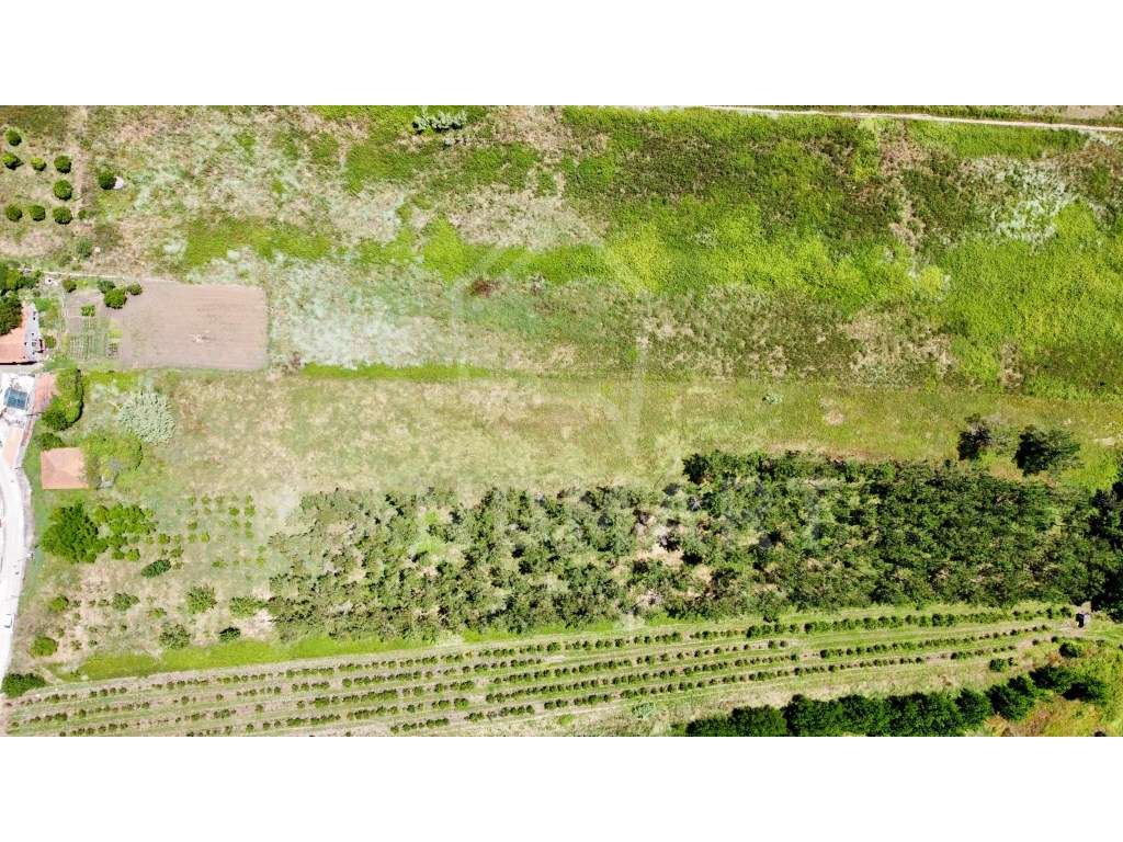 Moradia T2 para restaurar - Montes - Grande imagem: 4/5