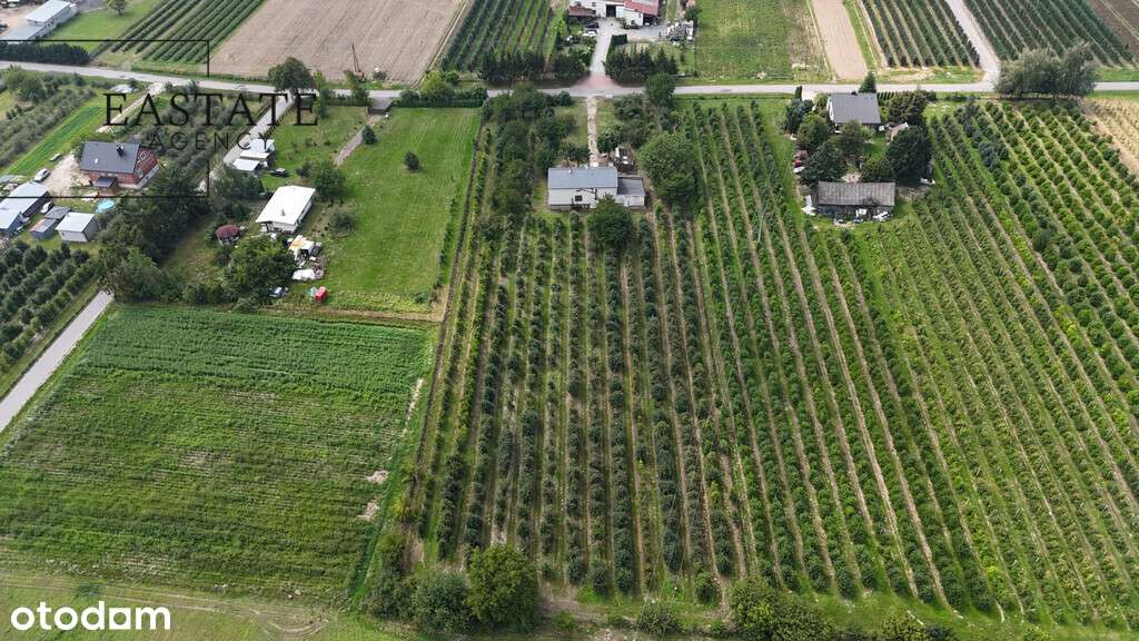 Arsa, 9000 m²