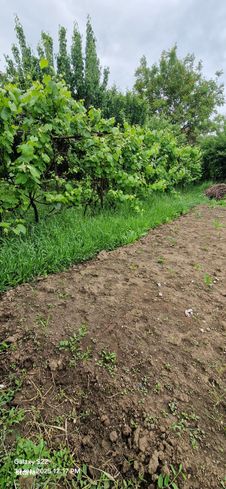 Casă Simeria zonă frumoasă cu 1.000mp Teren-15