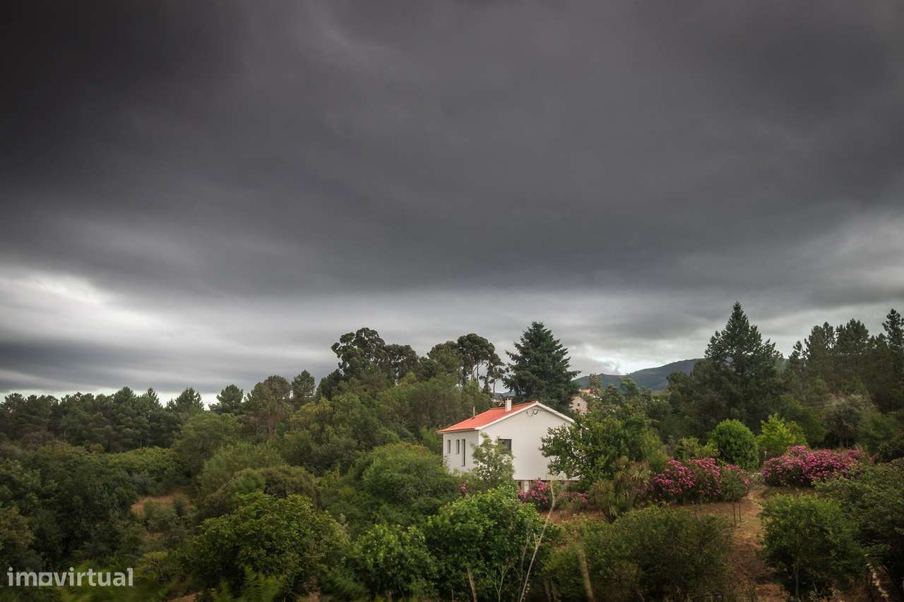 Quinta T2 Venda em Melo e Nabais,Gouveia-39