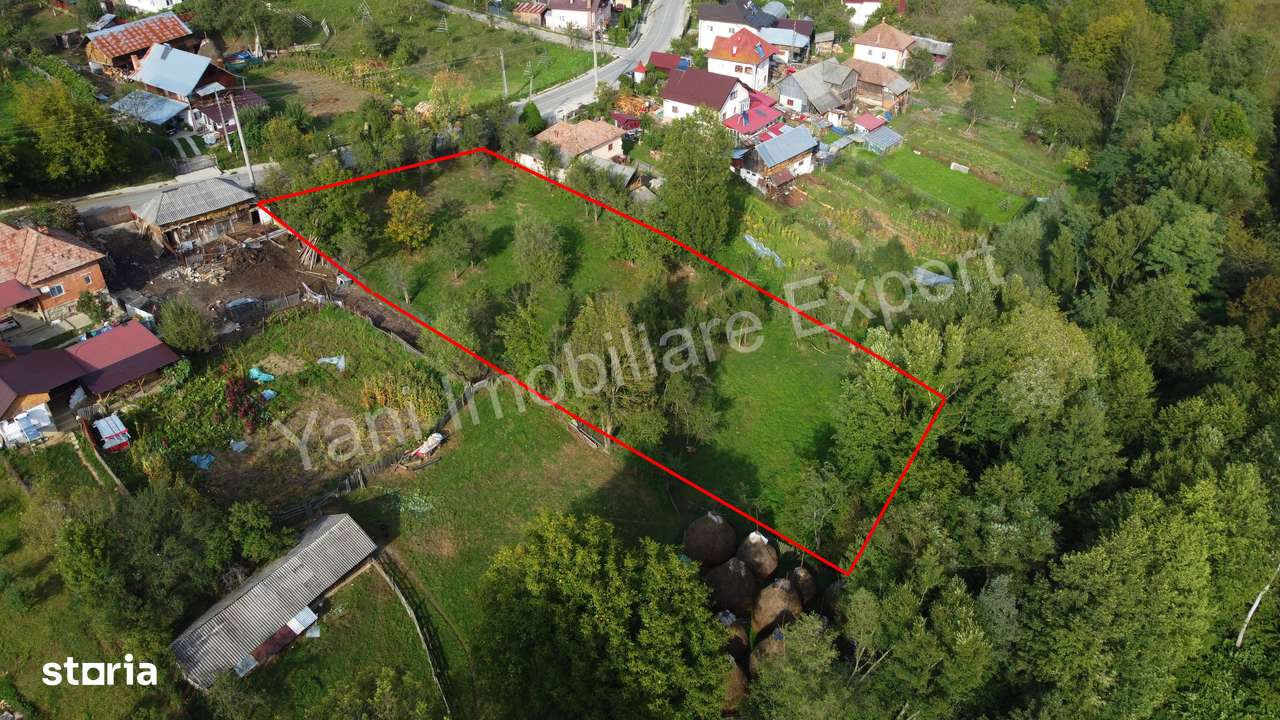 Teren de vânzare în comuna Arefu, județ Argeș.-13