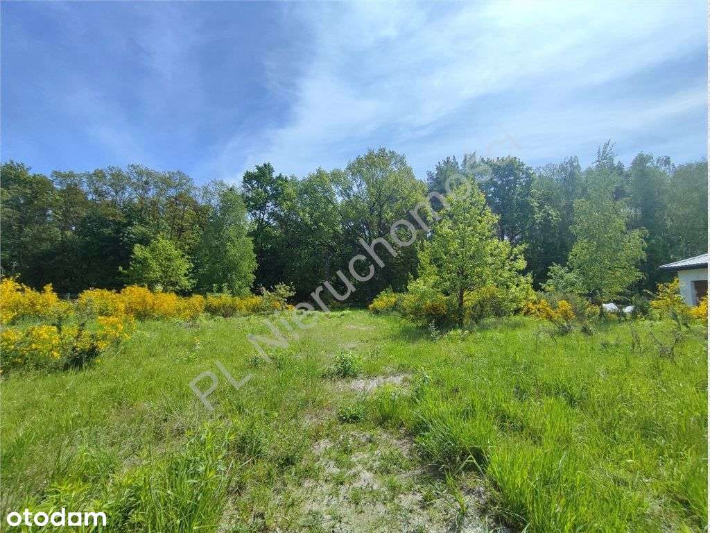 Klimatyczna działka w Owczarni. - Pełny obrazek: 5/5