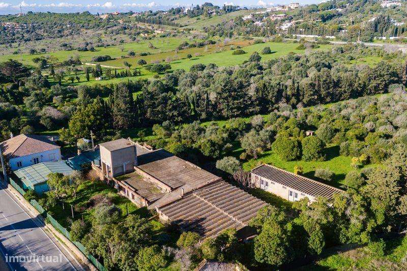 Quinta em Lagos, Praia da Luz,  46.000 m2, 2 casas e 2 Armazéns-25