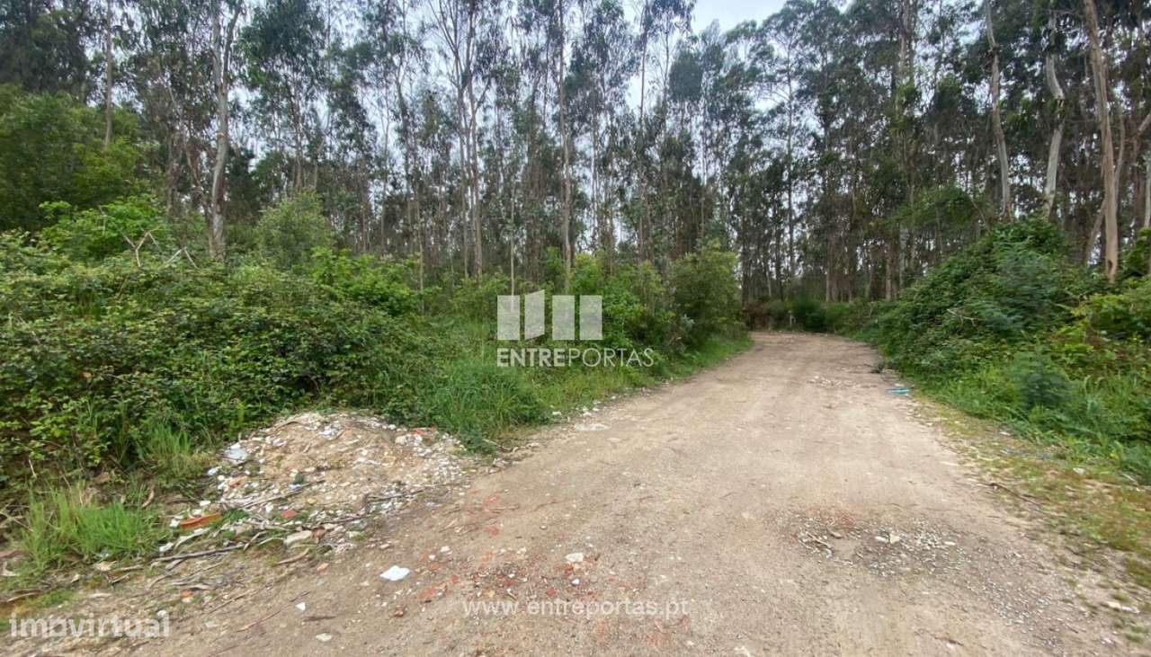 Venda de Terreno com 10.000 m2, Tougues, Vila do Conde - Grande imagem: 5/14