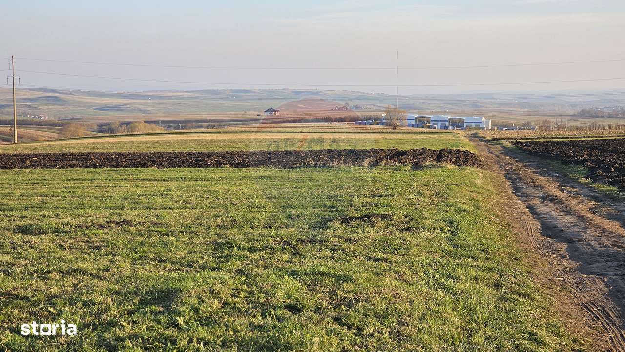 Teren extravilan 10200mp Stroiesti / Soseaua DN17, Suceava - Imagine principală: 4/11