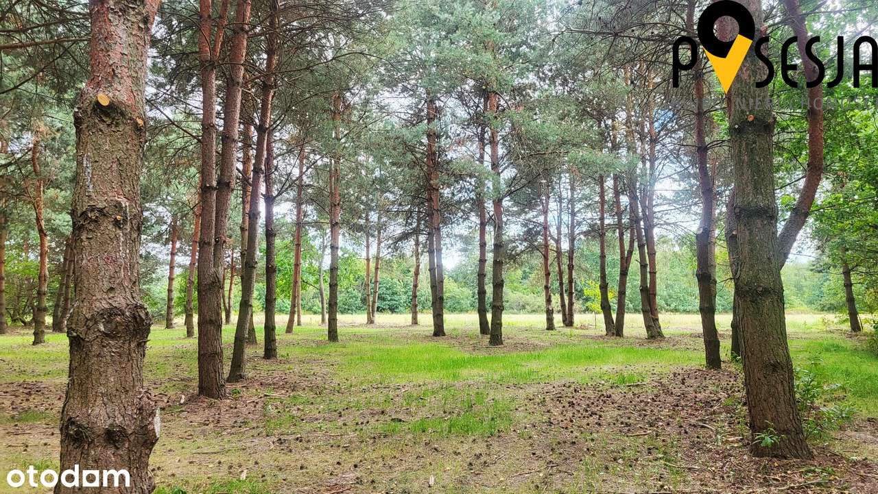 Pięknadziałka budowlana ok 1730m2 Mieszkowo-1