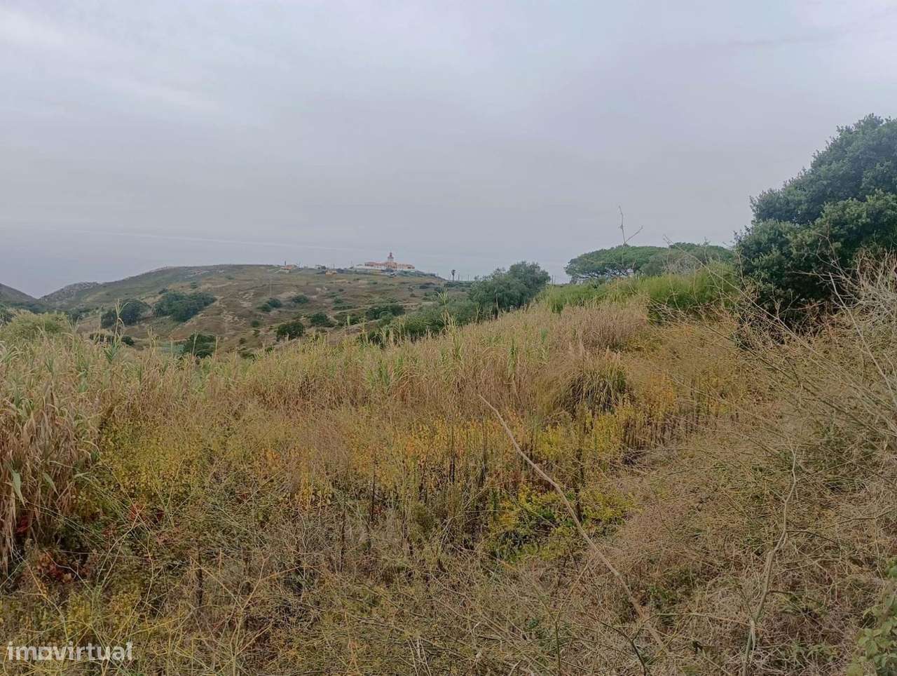 Terreno rústico, para venda, Sintra - Colares - Grande imagem: 1/5