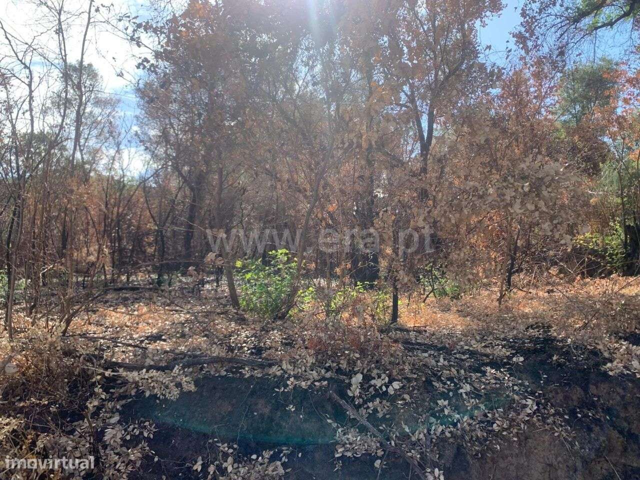 Terreno / Fundão, Freixial - Grande imagem: 4/5