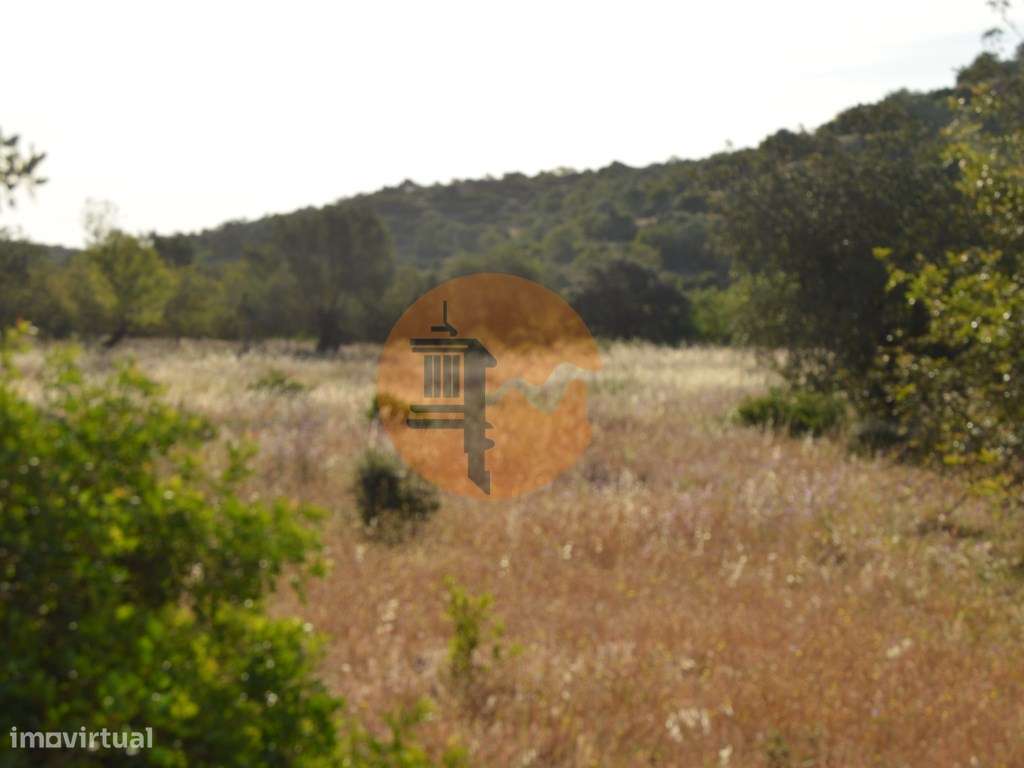 Terreno Rústico Marco Santa Catarina da Fonte do Bispo - Grande imagem: 2/9