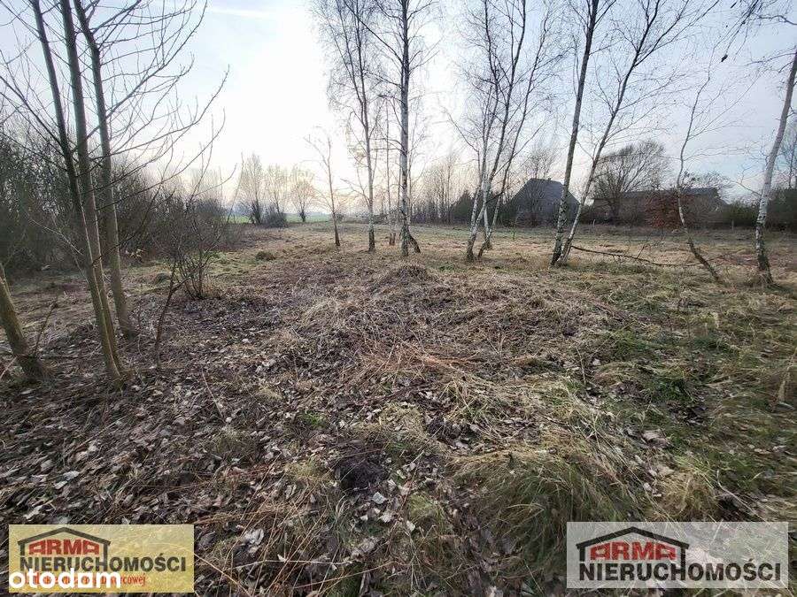 Działka Ze Stawem W Brudzewicach - Pełny obrazek: 5/7