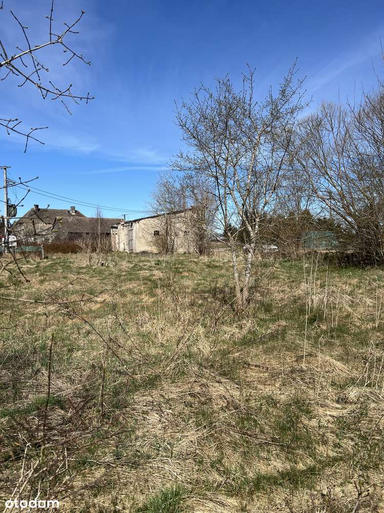 Działka z warunkami zabudowy cisza Krosino - Pełny obrazek: 5/10