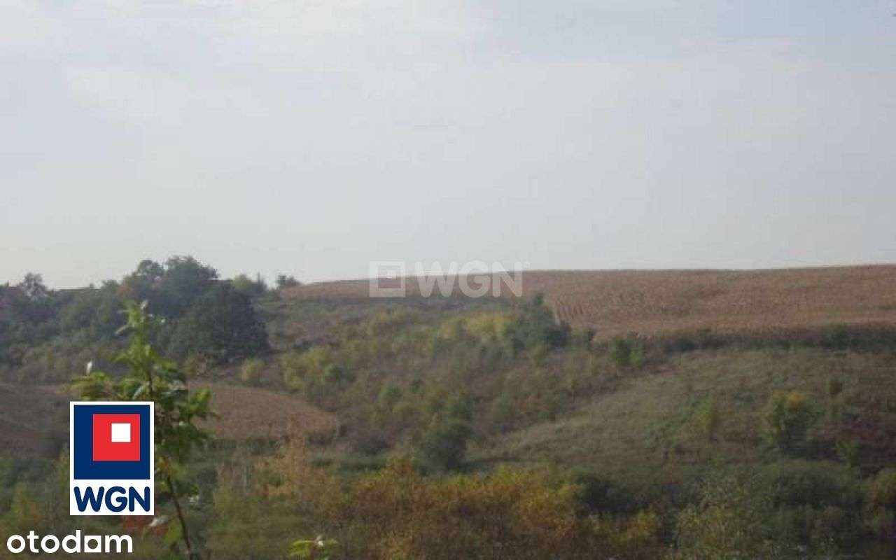 Działka Z Linią Brzegową Jeziora-8