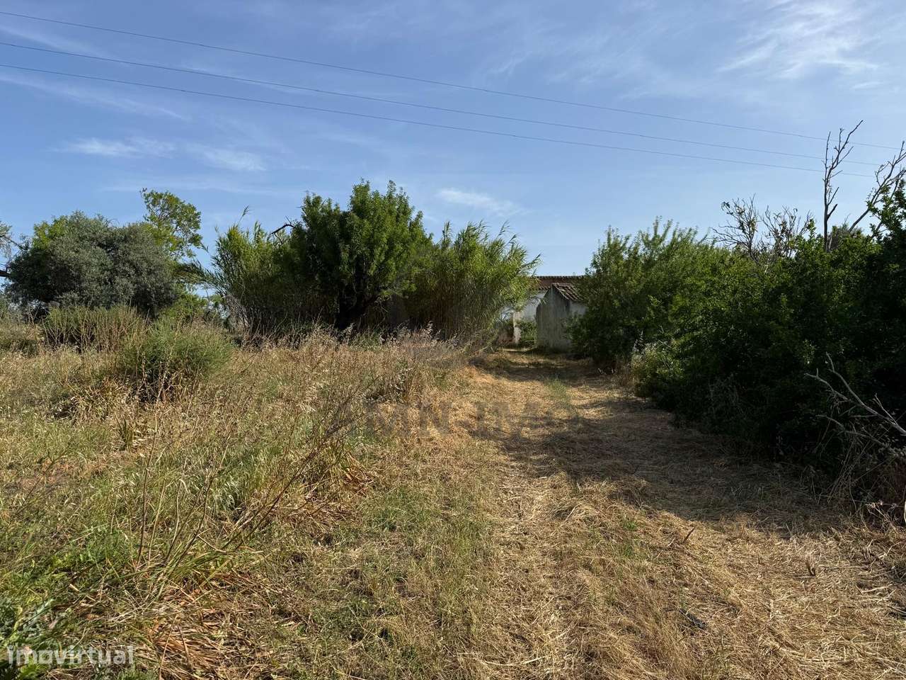 Quinta c/casas, eira e terreno misto – Chaveca, Faro-7