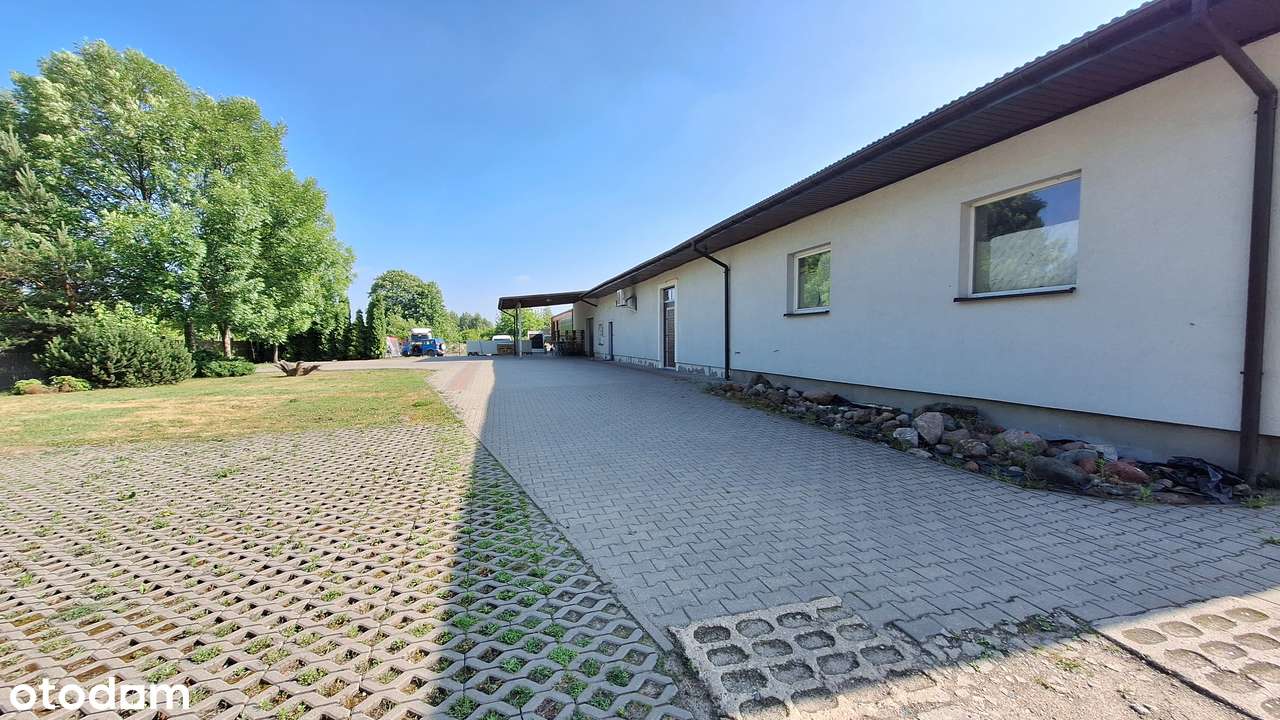 Hala_magazyn_warsztat_plac składowy_duża działka - Pełny obrazek: 4/12